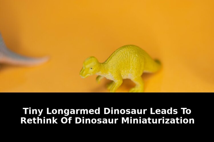 Alvarezsaurids were mostly small-bodied theropods: Game-Changing Update - 2026 2 alvarezsaurids were mostly small-bodied theropods - Publicancy