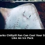 Hold against your skin image: Critical Update - 2026 6 hold against your skin image - Publicancy