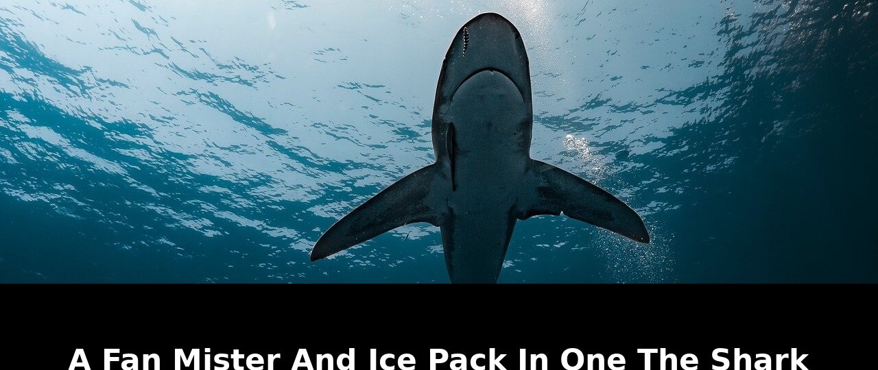 Everywhere with people using them: Game-Changing Update - 2026 1 everywhere with people using them - Publicancy