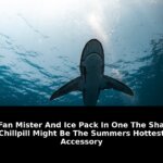 Everywhere with people using them: Game-Changing Update - 2026 4 everywhere with people using them - Publicancy