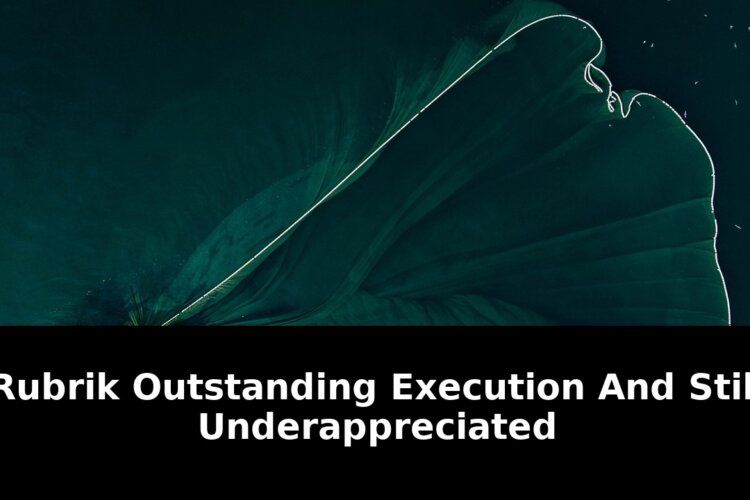 Execution and still underappreciated: Must-Read Update - 2026 1 execution and still underappreciated - Publicancy