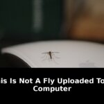 Says its working toward digital: Game-Changing Update - 2026 6 says its working toward digital - Publicancy