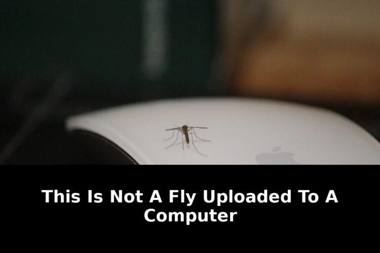 Says its working toward digital: Game-Changing Update - 2026 1 says its working toward digital - Publicancy