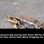 Amazons big spring sale kicks: Breaking Update - 2026 5 amazons big spring sale kicks - Publicancy