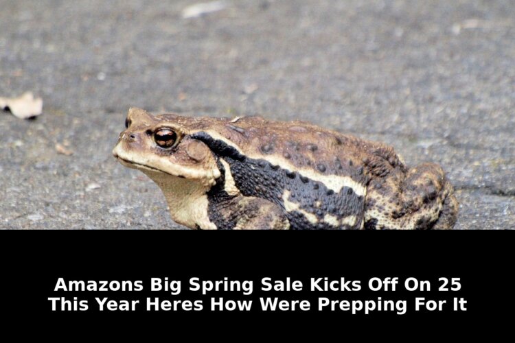 Amazons big spring sale kicks: Breaking Update - 2026 3 amazons big spring sale kicks - Publicancy
