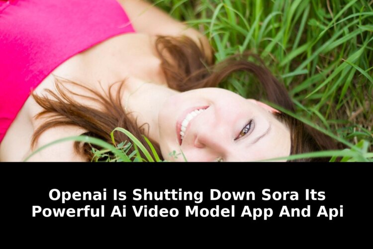 Family through its application programming: Essential Update - 2026 1 family through its application programming - Publicancy