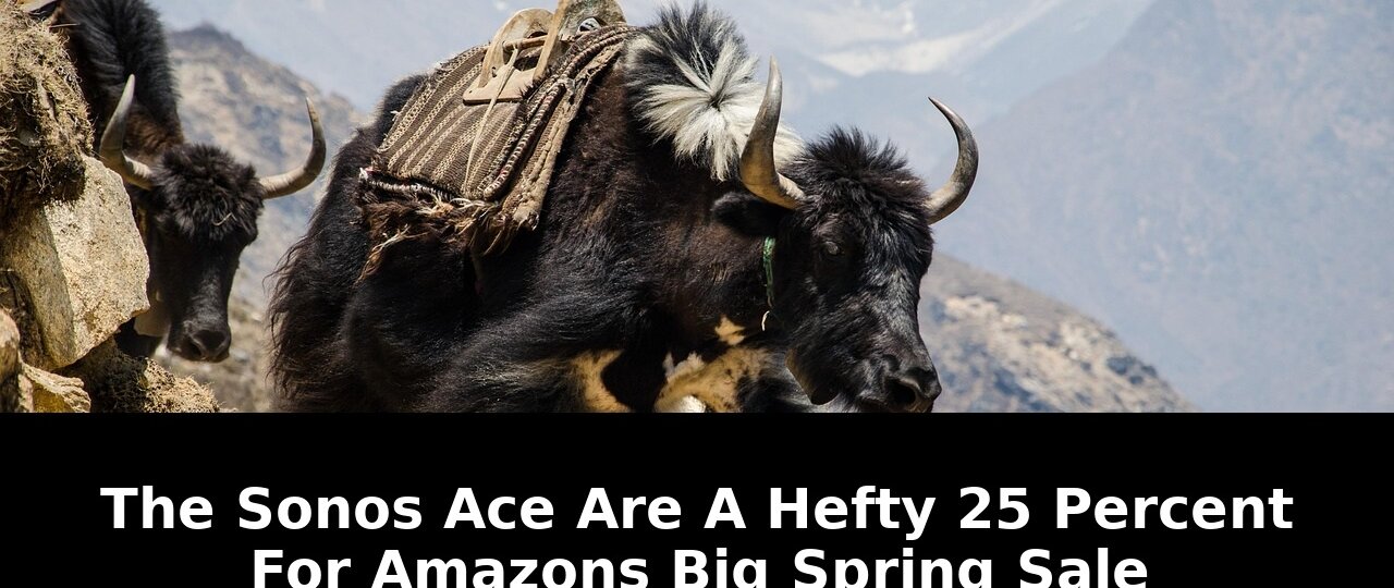 Amazons big spring sale amazons: Breaking Update - 2026 1 amazons big spring sale amazons - Publicancy