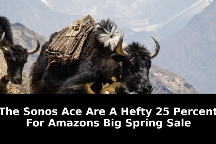 Amazons big spring sale amazons: Breaking Update - 2026 1 amazons big spring sale amazons - Publicancy
