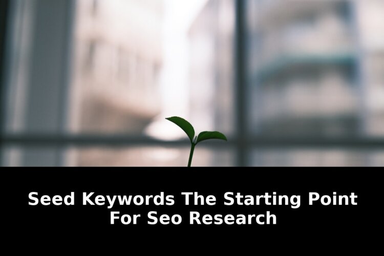 Point for seo research: Revolutionary Update - 2026 1 point for seo research - Publicancy