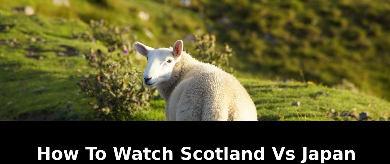 Access this free streaming: Revolutionary Update - 2026 1 access this free streaming - Publicancy