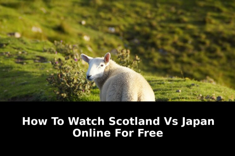 Access this free streaming: Revolutionary Update - 2026 1 access this free streaming - Publicancy