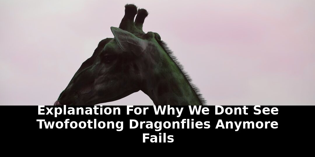 Two-foot-long dragonflies anymore fails: Critical Update - 2026 1 two-foot-long dragonflies anymore fails - Publicancy