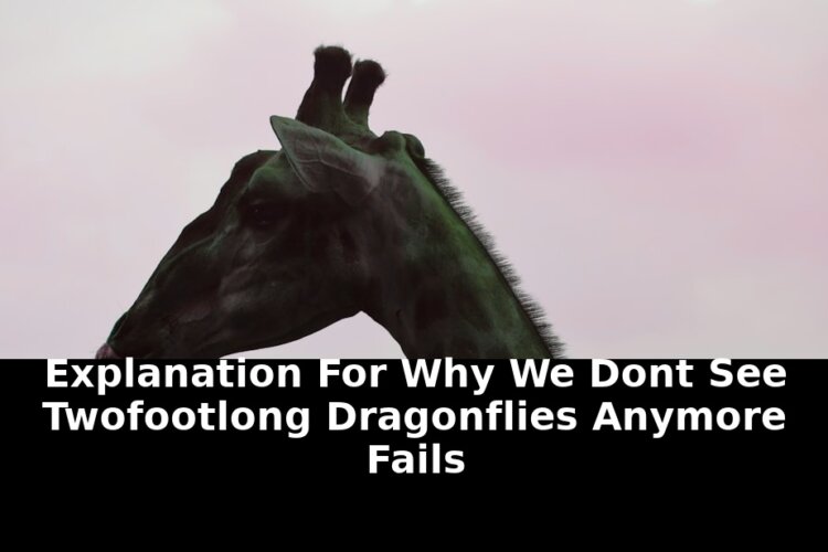 Two-foot-long dragonflies anymore fails: Critical Update - 2026 1 two-foot-long dragonflies anymore fails - Publicancy