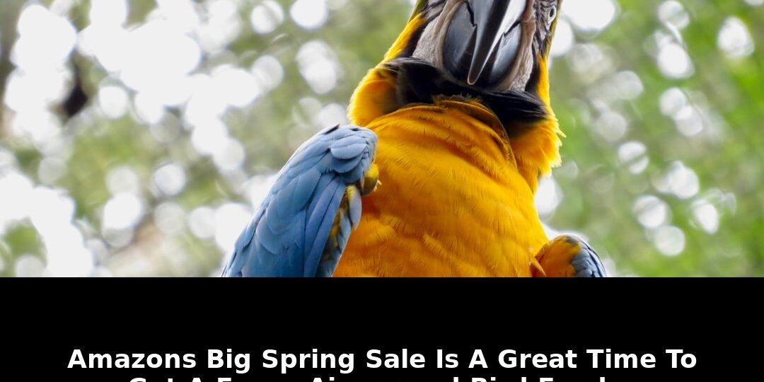 Amazons big spring sale: Revolutionary Update - 2026 1 amazons big spring sale - Publicancy