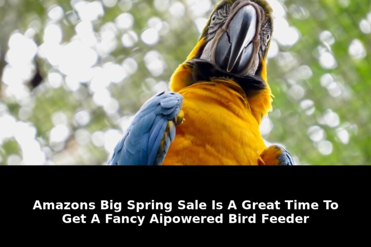 Amazons big spring sale: Revolutionary Update - 2026 1 amazons big spring sale - Publicancy
