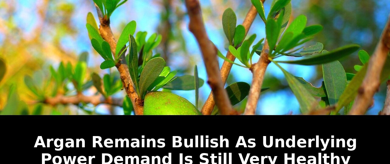 Essential Bullish Argan Still Very Healthy Argan Remains Strong in 2026 Markets 1 still very healthy argan remains - Publicancy