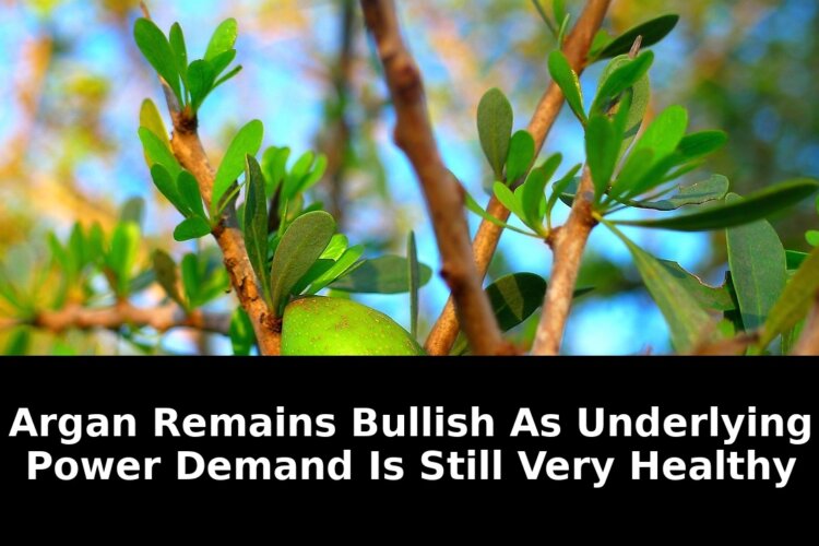 Essential Bullish Argan Still Very Healthy Argan Remains Strong in 2026 Markets 2 still very healthy argan remains - Publicancy