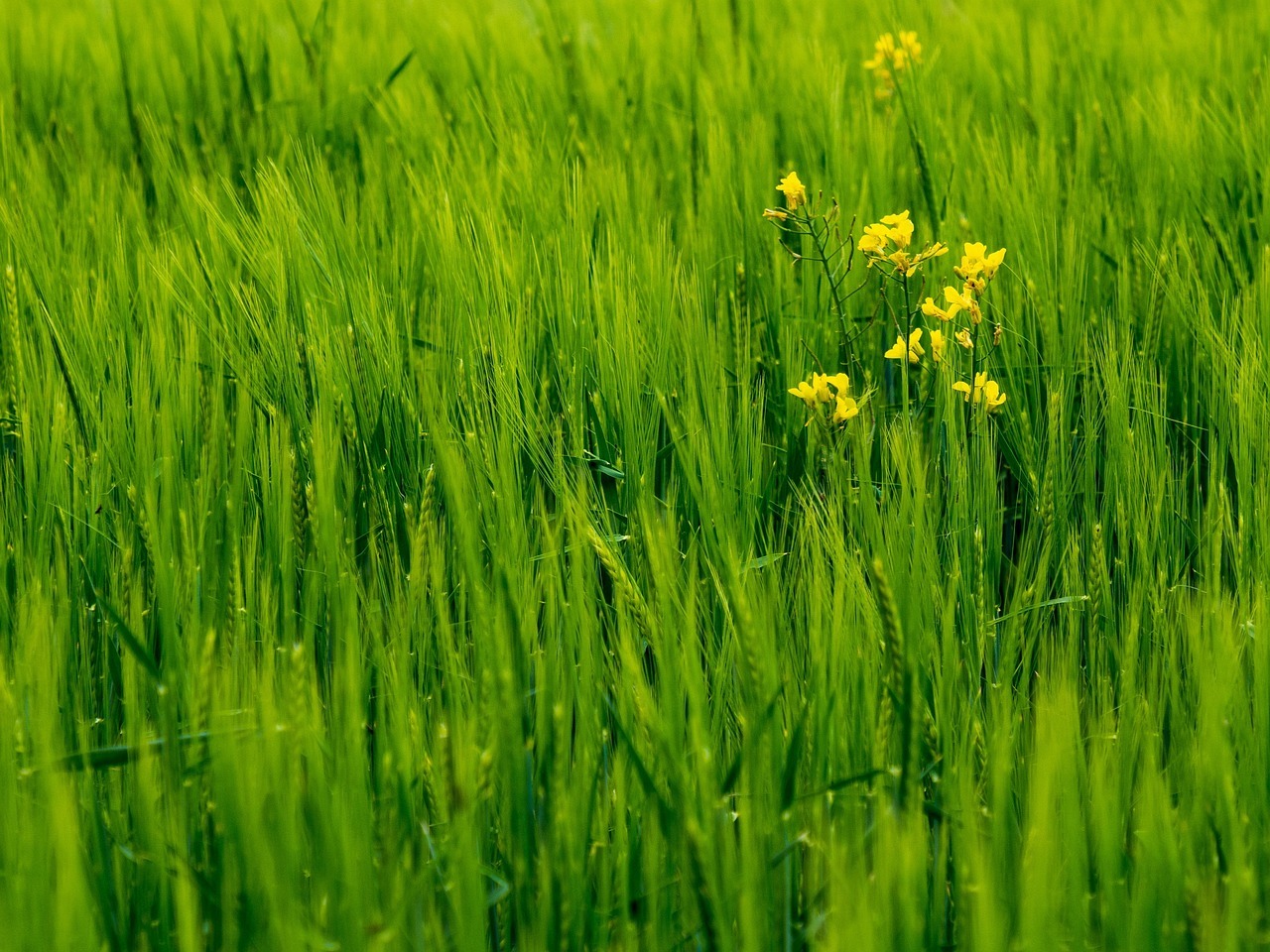 Itself the trap anthropic built: Essential Update - 2026 2 The trap Anthropic built for itself