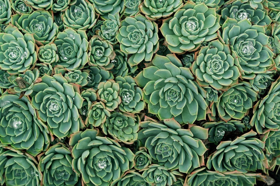 Wallpapers edition blooming flowers longer: Breaking Update - 2026 2 Fresh Energy In March (2026 Wallpapers Edition)