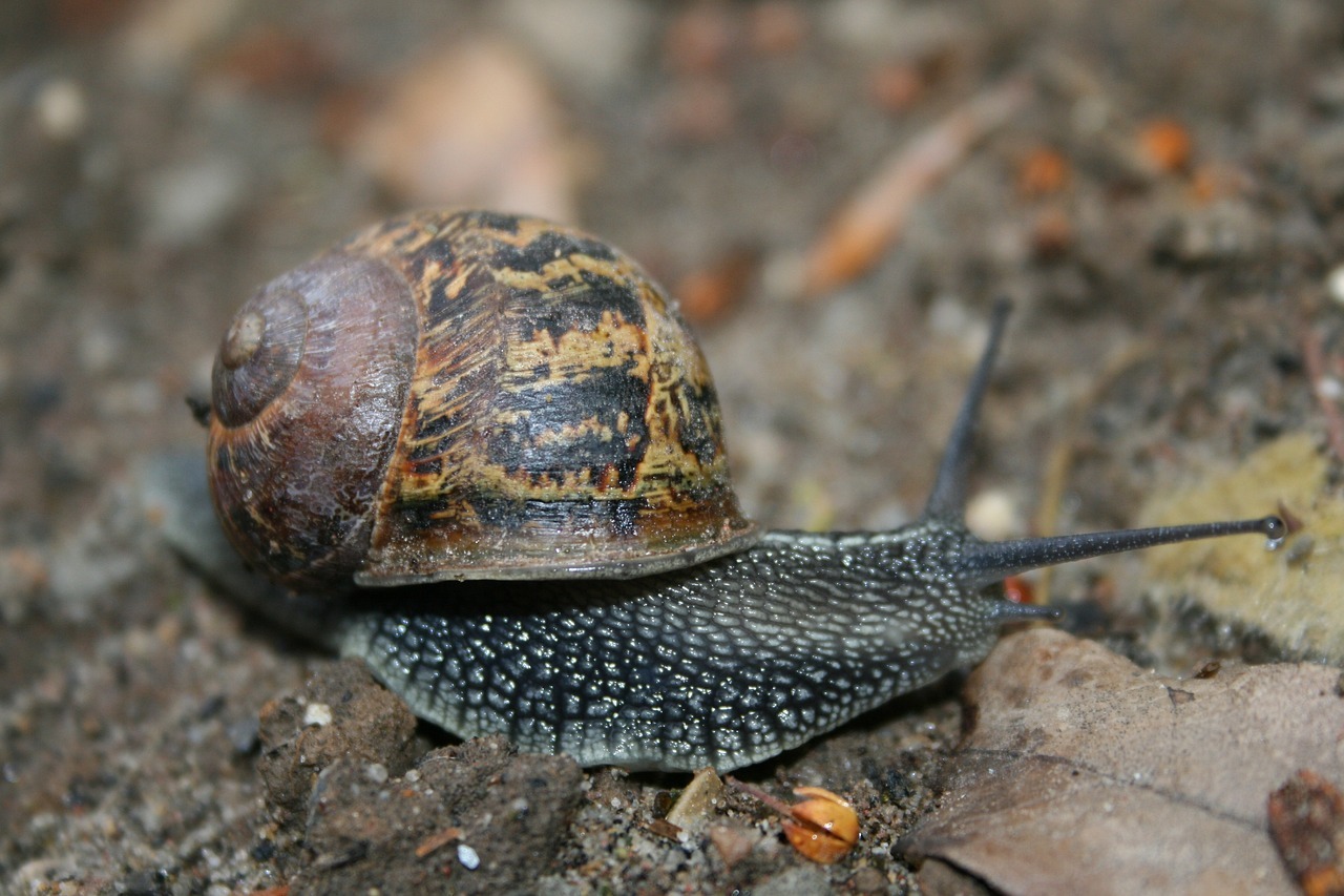 Popover api tooltips feel like: Shocking Update - 2026 2 Getting Started With The Popover API