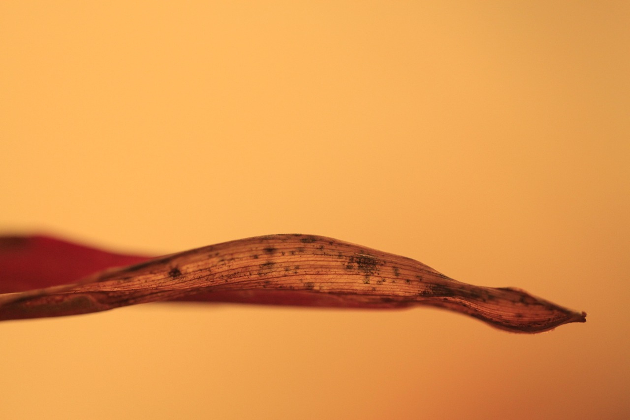 Execution and still underappreciated: Must-Read Update - 2026 2 Rubrik Outstanding Execution And Still Underappreciated