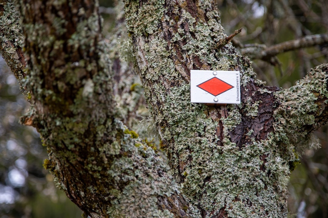 Redwood Trusts 4 Notes Available All Rated Hold: Whats Really Happening in 2026? 2 Redwood Trust Now Has 4 Notes Available: All Rated Hold