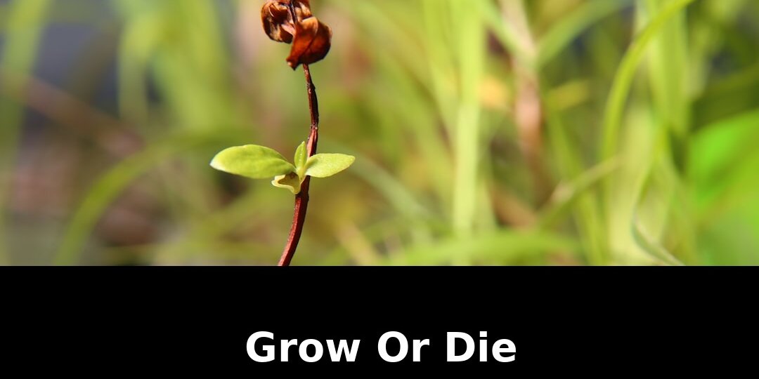 Buying super cycle your slice: Must-Read Update - 2026 1 buying super cycle your slice - Publicancy