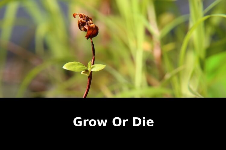 Buying super cycle your slice: Must-Read Update - 2026 1 buying super cycle your slice - Publicancy