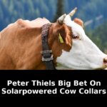 Register now close techcrunch desktop: Exclusive Update - 2026 6 register now close techcrunch desktop - Publicancy