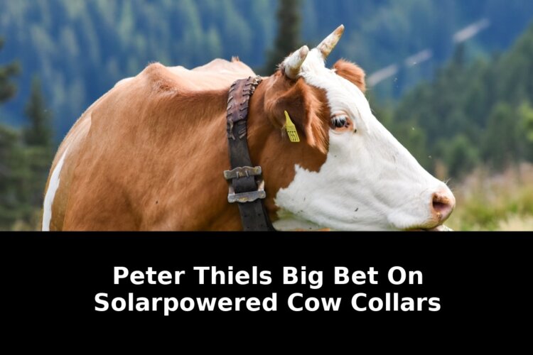 Register now close techcrunch desktop: Exclusive Update - 2026 1 register now close techcrunch desktop - Publicancy