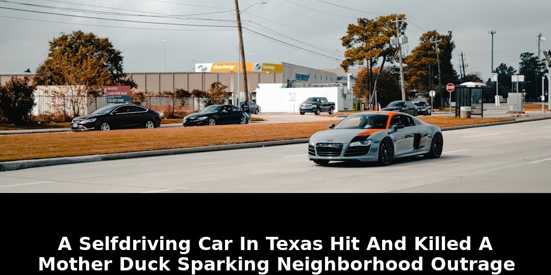 Mother duck sparking neighborhood outrage: Revolutionary Update - 2026 1 mother duck sparking neighborhood outrage - Publicancy