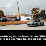 Mother duck sparking neighborhood outrage: Revolutionary Update - 2026 2 mother duck sparking neighborhood outrage - Publicancy