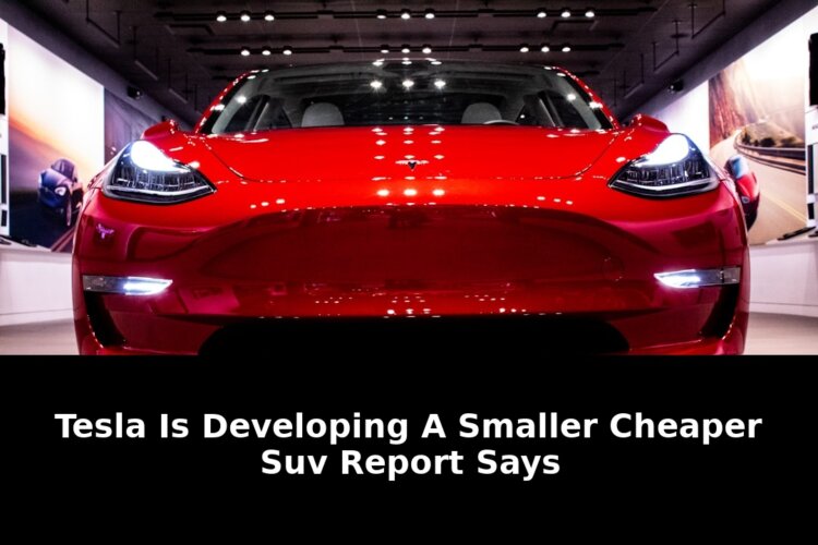 Shocking 2026 Tesla Secret: Smaller Cheaper SUV Report Says Market Shakeup! 1 smaller cheaper suv report says - Publicancy