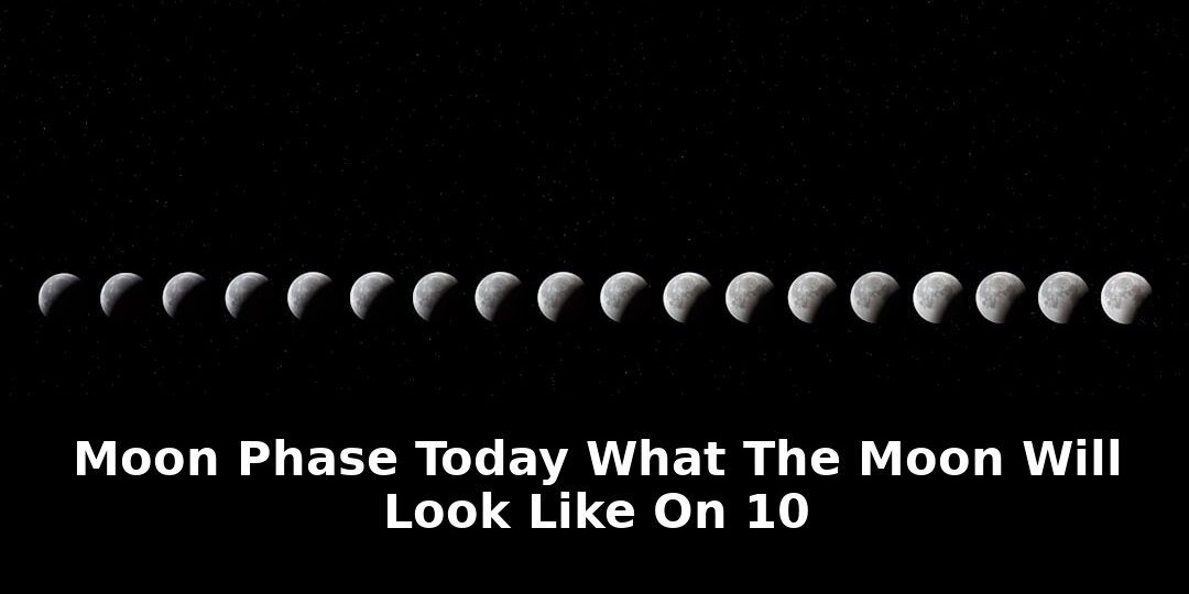 Move through eight different phases: Critical Update - 2026 1 move through eight different phases - Publicancy