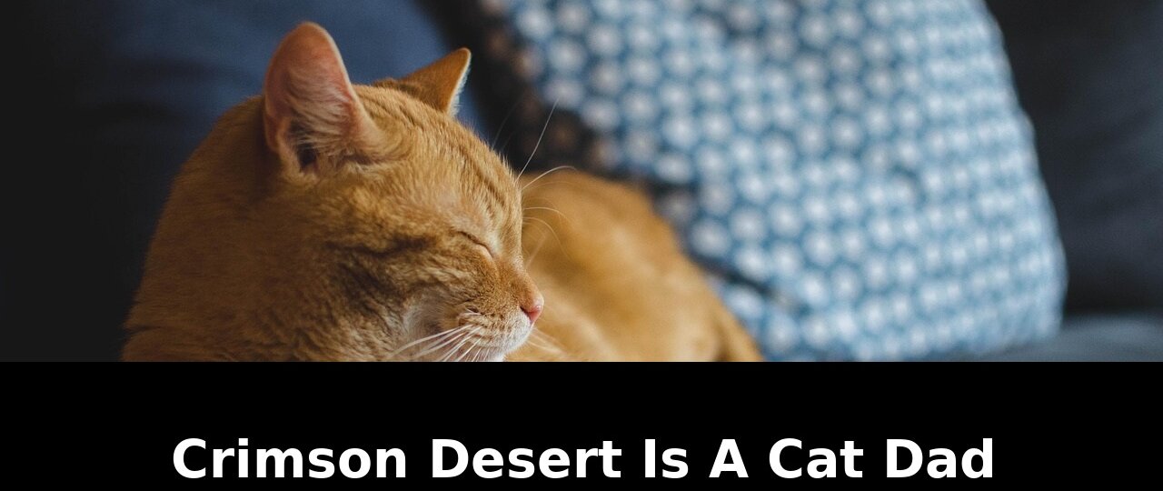 Mesh wi-fidyson robot vacuumbest budget: Critical Update - 2026 1 mesh wi-fidyson robot vacuumbest budget - Publicancy