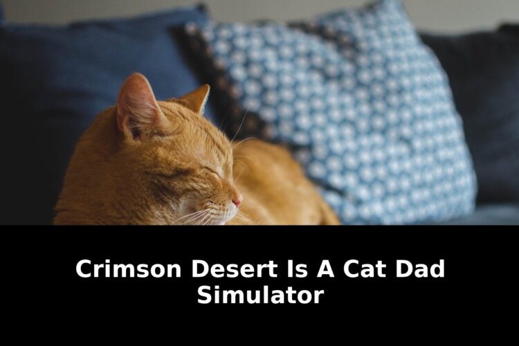 Mesh wi-fidyson robot vacuumbest budget: Critical Update - 2026 1 mesh wi-fidyson robot vacuumbest budget - Publicancy