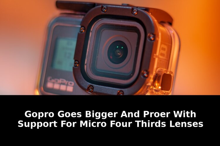 Micro four thirds lenses: Shocking Update - 2026 - April 2026 Guide 1 micro four thirds lenses - Publicancy