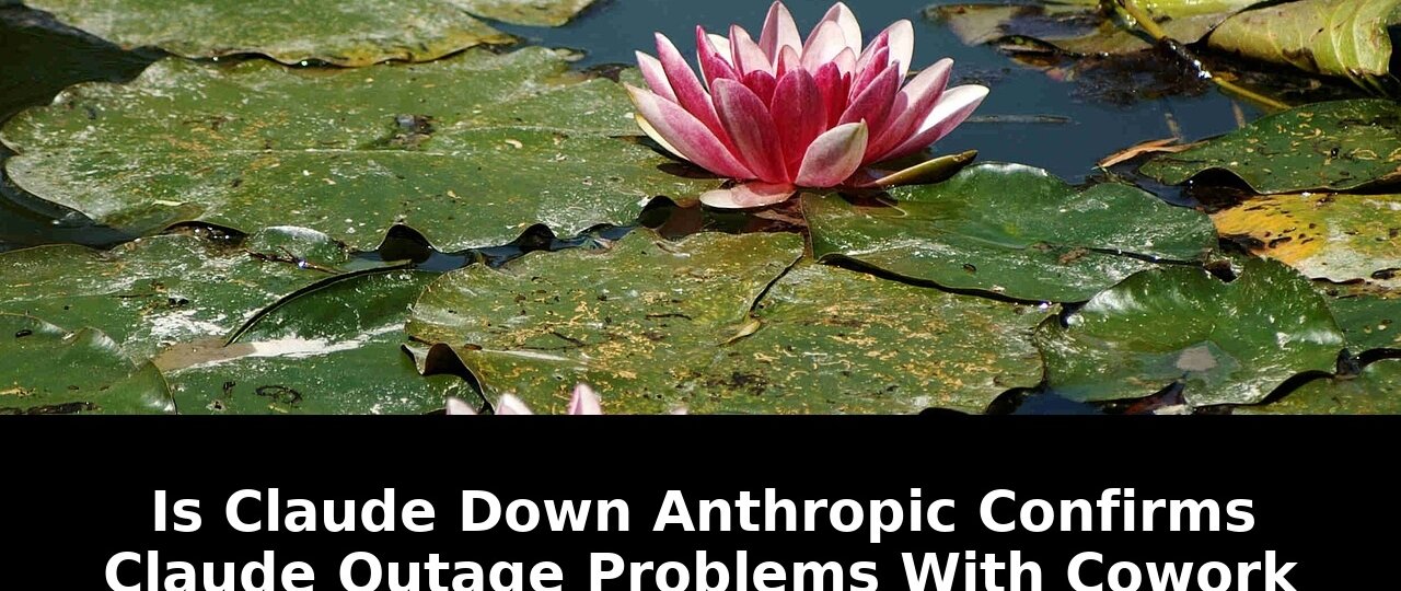 Anthropic confirms claude outage: Essential Update - 2026 1 anthropic confirms claude outage - Publicancy