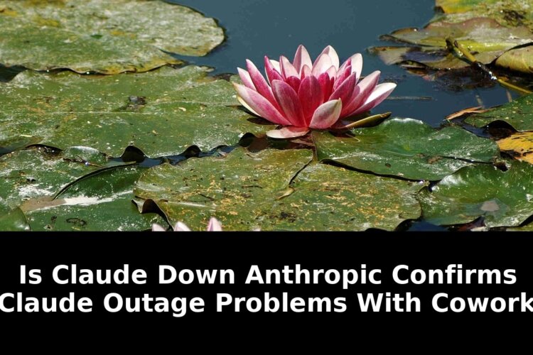 Anthropic confirms claude outage: Essential Update - 2026 1 anthropic confirms claude outage - Publicancy