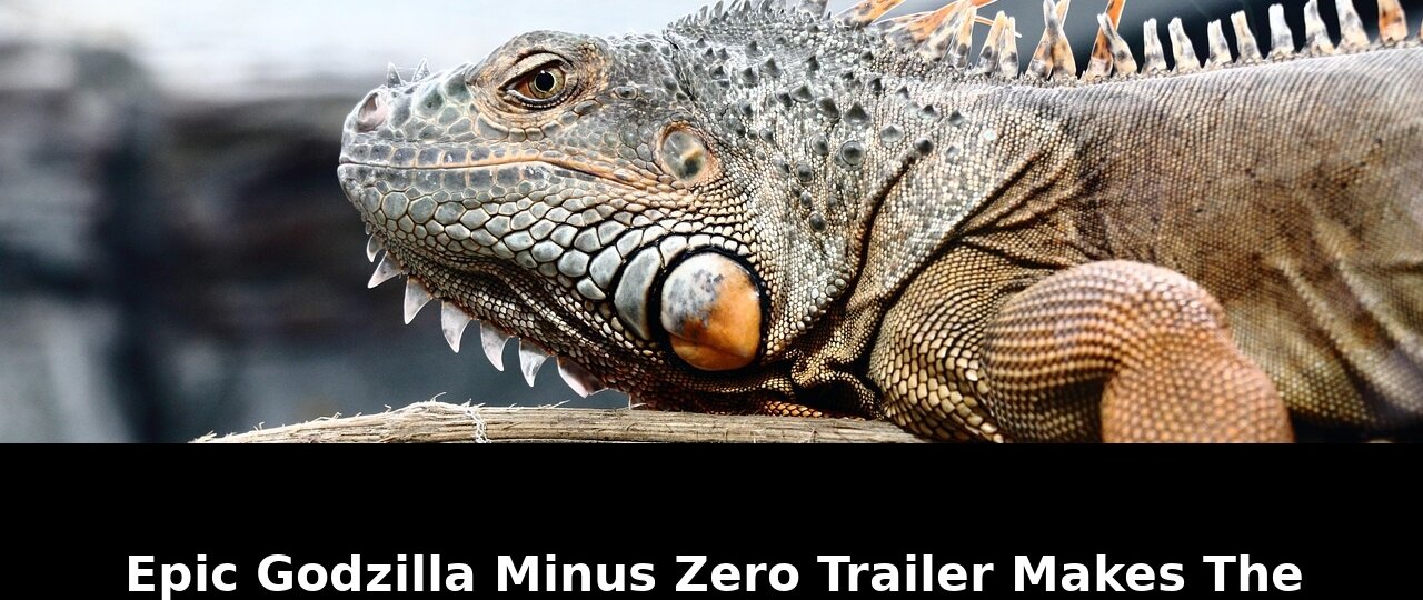 Epic godzilla minus zero trailer: Exclusive Update - 2026 1 epic godzilla minus zero trailer - Publicancy