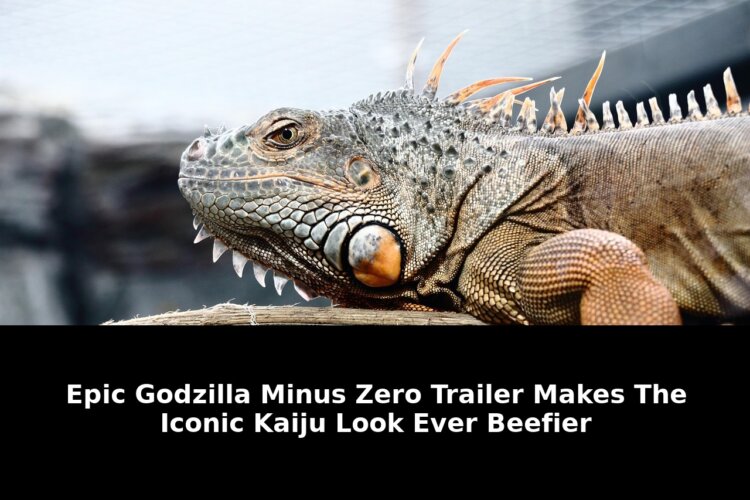 Epic godzilla minus zero trailer: Exclusive Update - 2026 1 epic godzilla minus zero trailer - Publicancy
