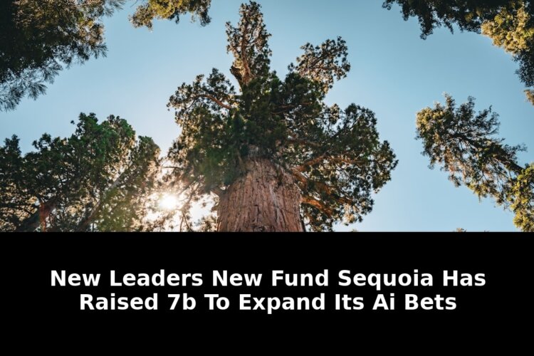 Leaders new fund sequoia: Must-Read Update - 2026 - April 2026 Guide 1 leaders new fund sequoia - Publicancy
