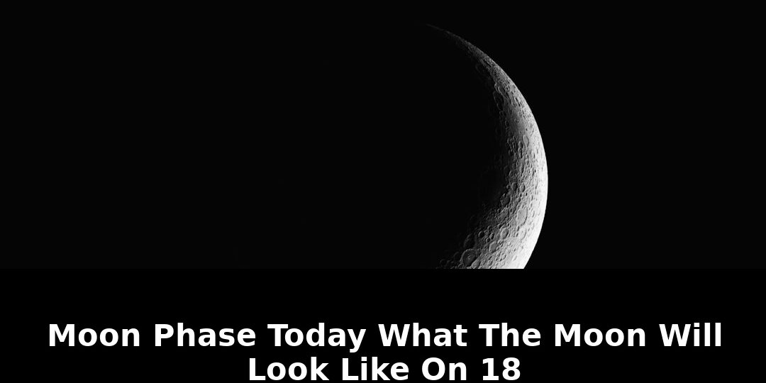 Until the next full moonwhat: Revolutionary Update - 2026 1 until the next full moonwhat - Publicancy