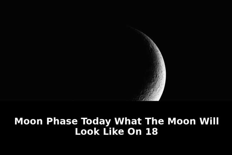 Until the next full moonwhat: Revolutionary Update - 2026 1 until the next full moonwhat - Publicancy