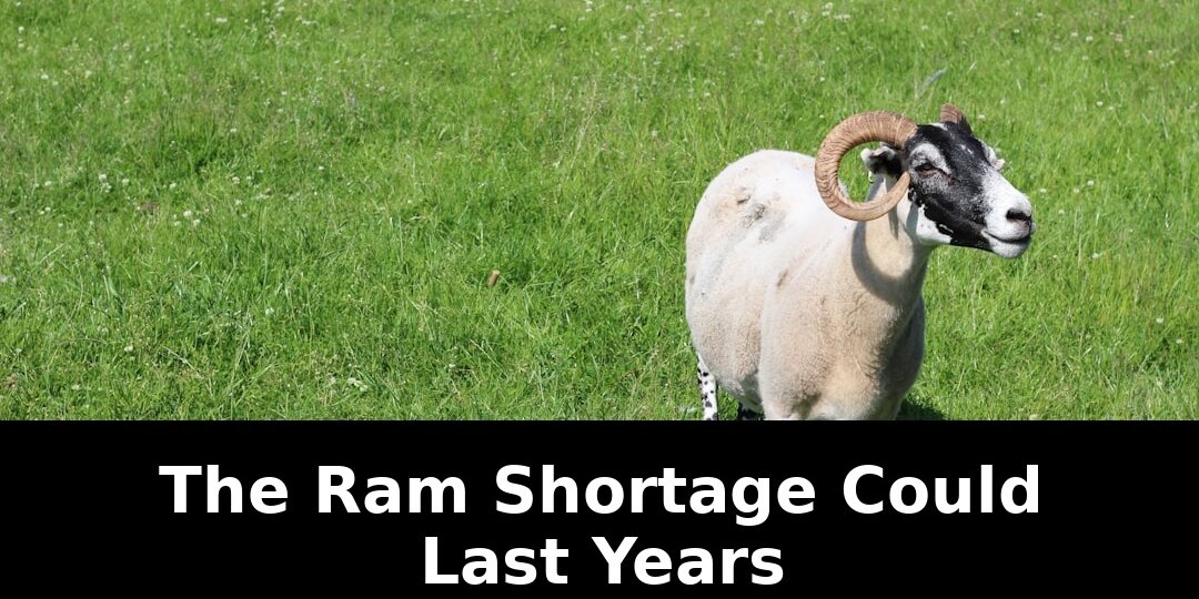 Shortage could last years: Revolutionary Update - 2026 1 shortage could last years - Publicancy