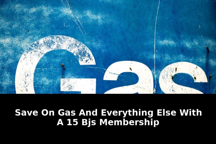 Shopping and road trips opens: Essential Update - 2026 1 shopping and road trips opens - Publicancy