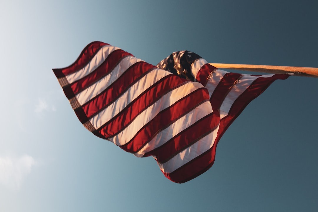 Vehicles the last half year: Essential Update - 2026 2 EV adoption in America: Who's winning, who's losing?