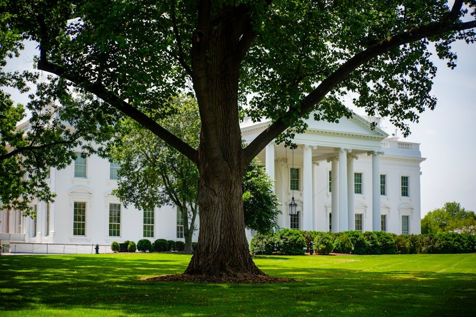 Beneath the service station signs: Essential Update - 2026 2 Shock from Iran war has Trump's vision for US energy dominance flailing