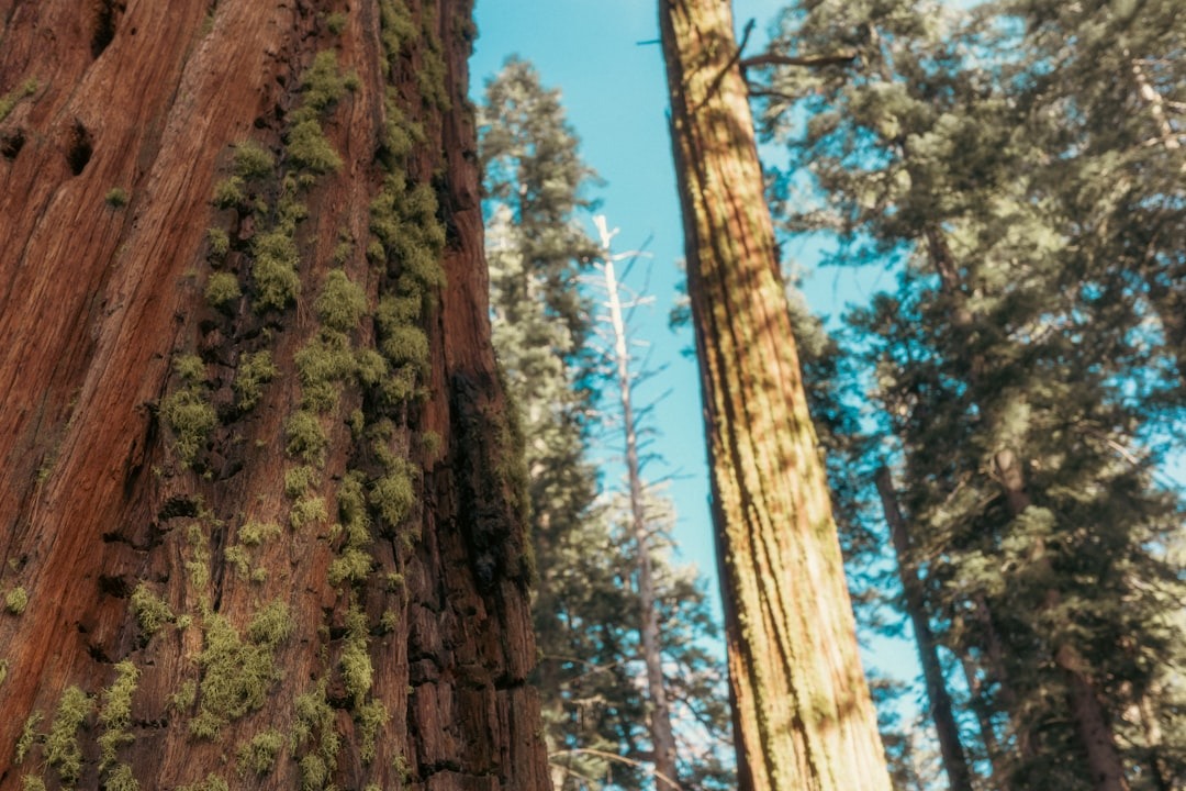 Leaders new fund sequoia: Must-Read Update - 2026 - April 2026 Guide 2 New leaders, new fund: Sequoia has raised $7B to expand its AI bets