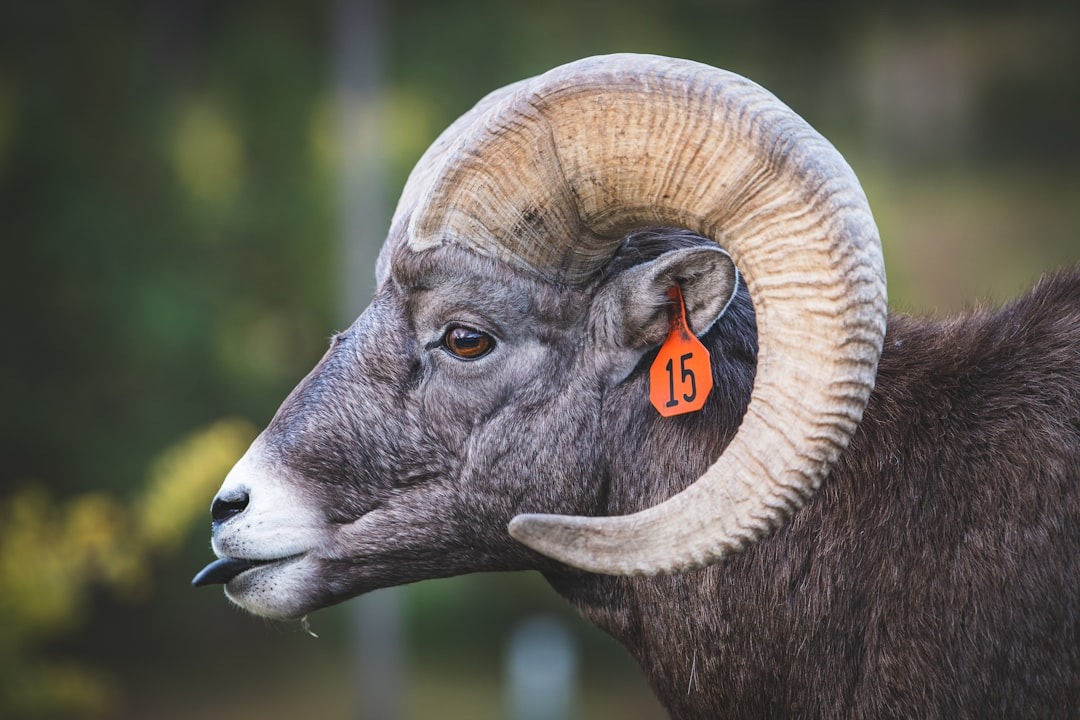 Shortage could last years: Revolutionary Update - 2026 2 The RAM shortage could last years